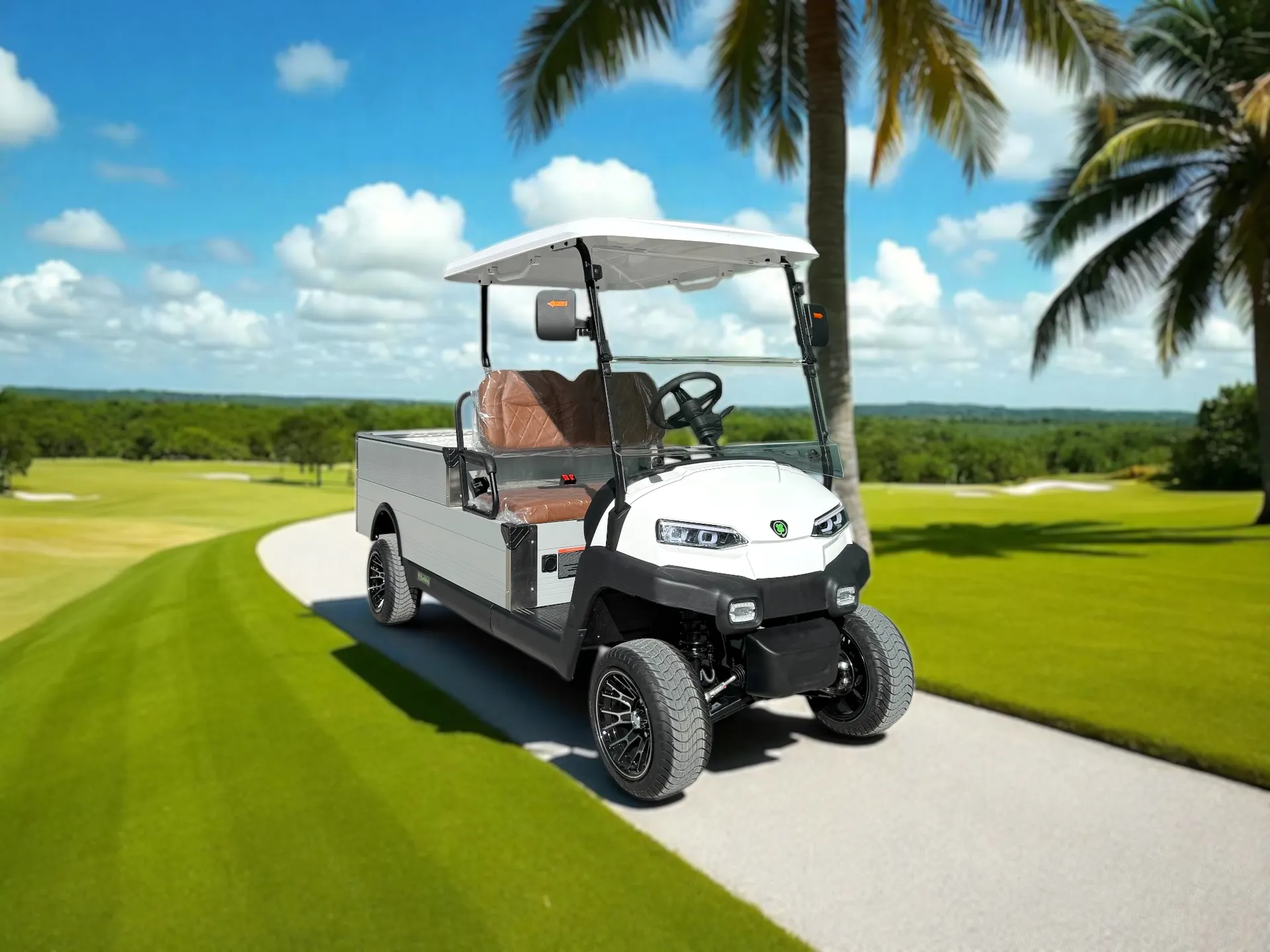 Golf cart promotion