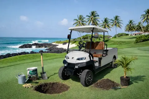 Carro de golf KleverCargo con batería de litio 500kg miniatura 1