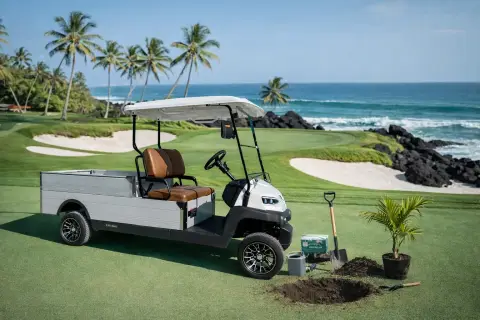 Carro de golf KleverCargo con batería de litio 500kg miniatura 2
