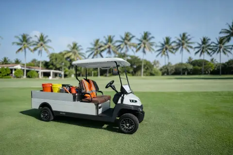 Carro de golf KleverCargo con batería de litio 500kg miniatura 5