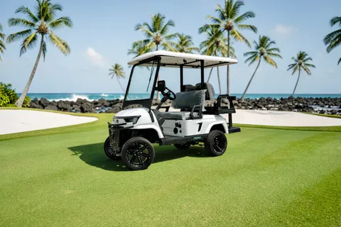 KleverEvo-4: Lifted Electric Golf Cart with Lithium Battery thumbnail 10