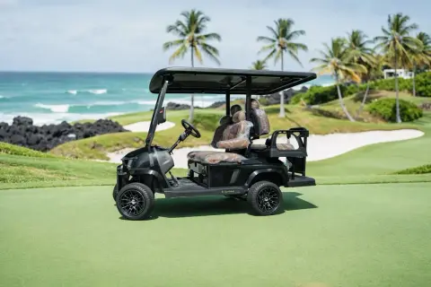 KleverEvo-4: carrito de golf eléctrico no elevado con batería de litio