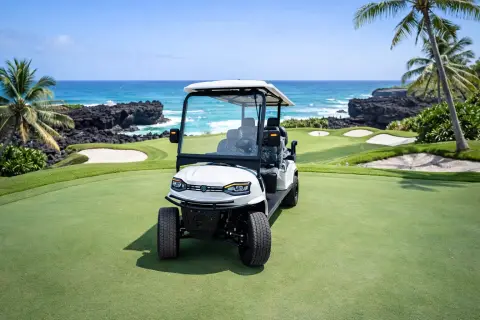 KleverOmni-6: New 6-Seat Electric Cart (4+2, LiFePO4, Lifted) thumbnail 4