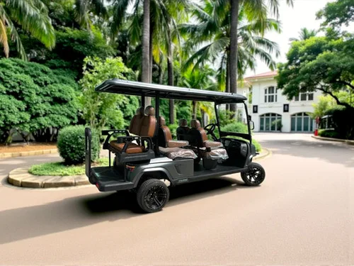 KleverOmni-6: New 6-Seat Electric Cart (4+2, LiFePO4, Lifted)