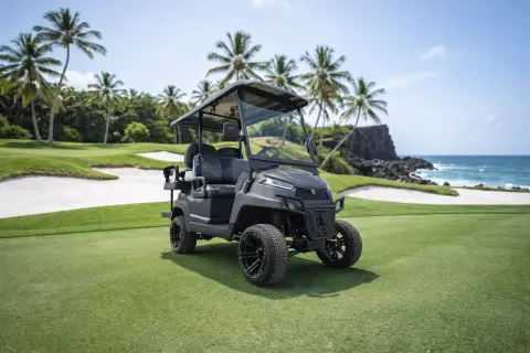 Carro de golf eléctrico elevado con batería de litio KleverOro-4 miniatura 9