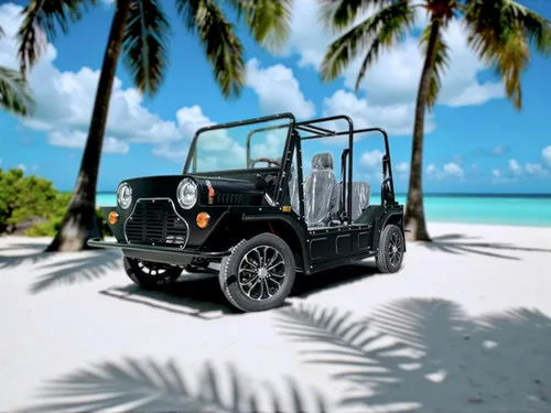KleverPlaya: Buggy EV eléctrico estilo playa (4 asientos) miniatura 2
