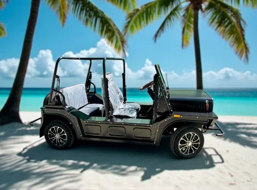 KleverPlaya: Buggy EV eléctrico estilo playa (4 asientos) miniatura 7
