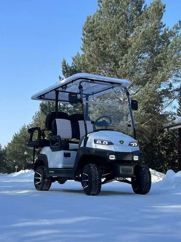 KleverEco-4 Lithium 100 AH Electric Golf Cart