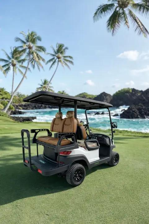 KleverEco-4 Lithium 100 AH Electric Golf Cart thumbnail 7