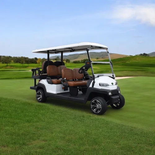 KleverEco-6 Lithium 100AH Electric Golf Cart