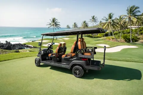 Carro de golf eléctrico KleverEco-6 Litio 100AH miniatura 2