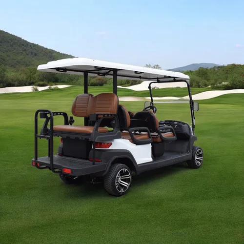 KleverEco-6 Lithium 100AH Electric Golf Cart