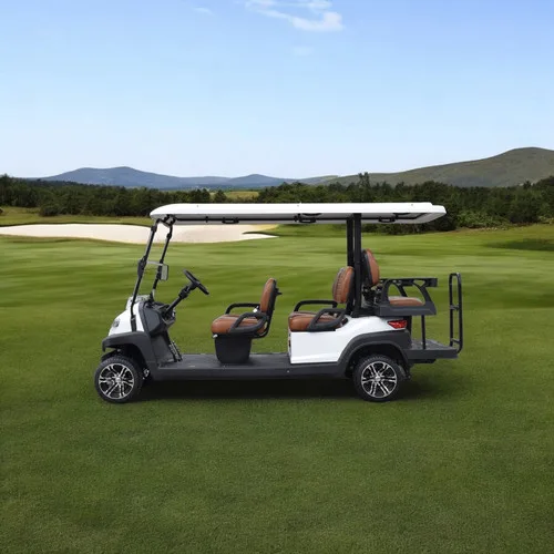 KleverEco-6 Lithium 100AH Electric Golf Cart